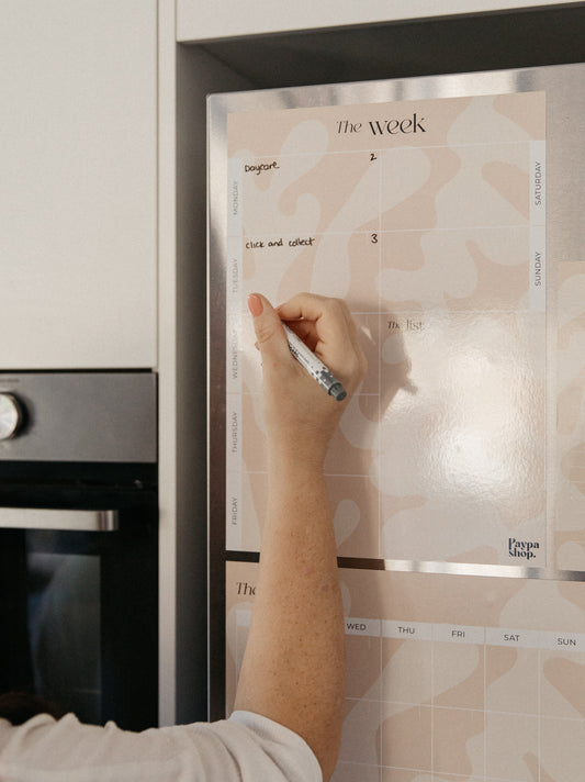 Magnetic Essentials Bundle - Coastal Coral